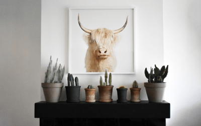 Why You Should Hire An Interior Designer